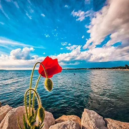 Lägenhet Brijuni Loft Pula