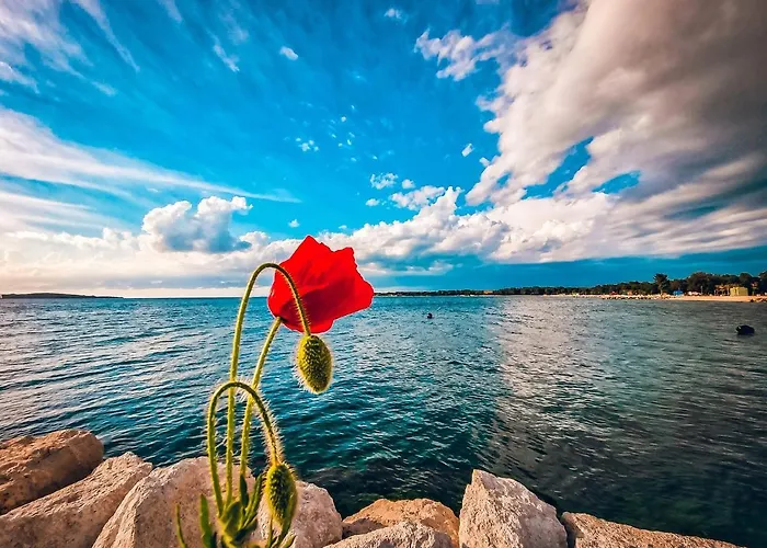 Lejlighed Brijuni Loft Pula