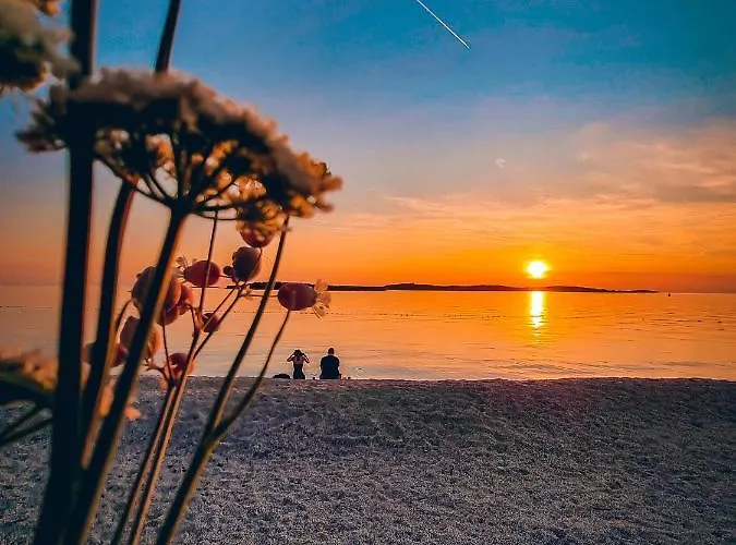 Brijuni Loft Πούλα